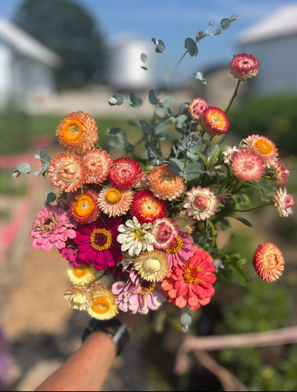 Harvest Blooms Subscription